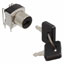 SK22BG30 - NKK Switches