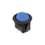RR111C1700 - E-Switch