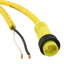 1300060162 - Molex Connector Corporation